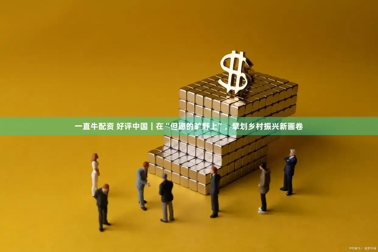 一直牛配资 好评中国｜在“但愿的旷野上”，擘划乡村振兴新画卷