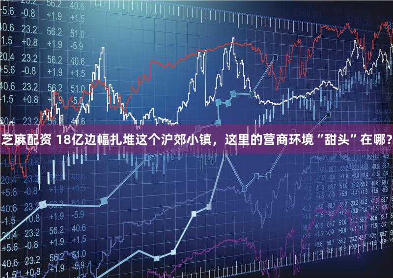 芝麻配资 18亿边幅扎堆这个沪郊小镇，这里的营商环境“甜头”在哪？