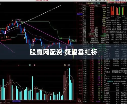 股赢网配资 凝望垂虹桥
