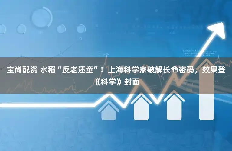 宝尚配资 水稻“反老还童”！上海科学家破解长命密码，效果登《科学》封面