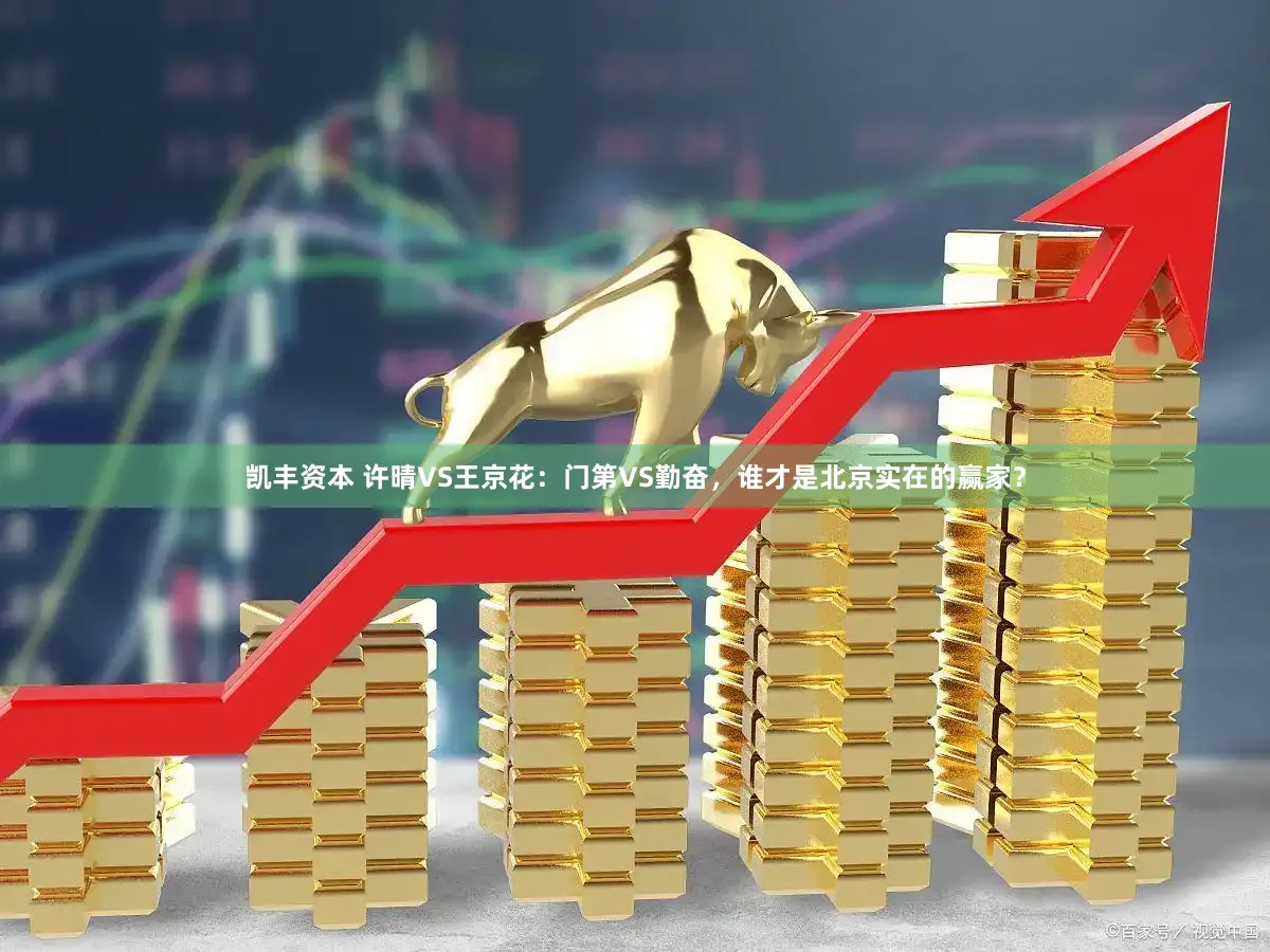 凯丰资本 许晴VS王京花：门第VS勤奋，谁才是北京实在的赢家？