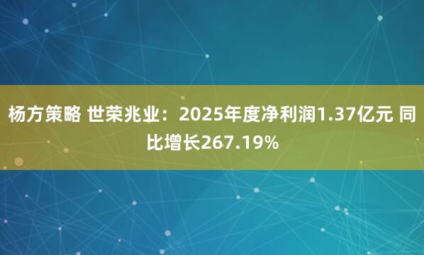 杨方策略 世荣兆业：2025年度净利润1.37亿元 同比增长267.19%